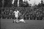Harold Hassall