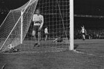 Terry Naylor